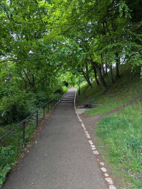 A wide outdoor staircase leading up to Kelsey Park in Beckenham, constructed of concrete steps with signs of weathering and moss growth. The stairs are flanked by metal handrails on both sides, each s
